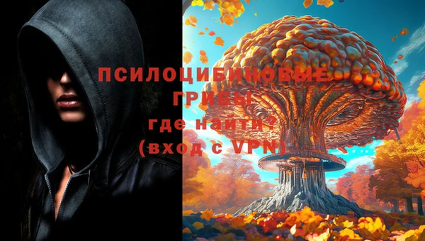 spice Струнино