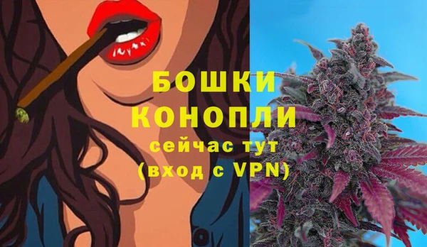 spice Струнино