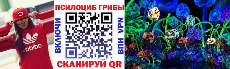 Псилоцибиновые грибы Psilocybine cubensis Ясный